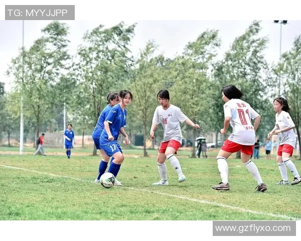 2017全国青少年校园足球联赛精彩回顾与未来发展展望