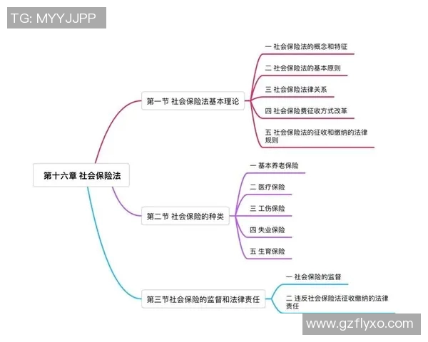 上海排球队的战术运营体系解析与实践探索 上海排球队的战术运营体系解析与实践探索