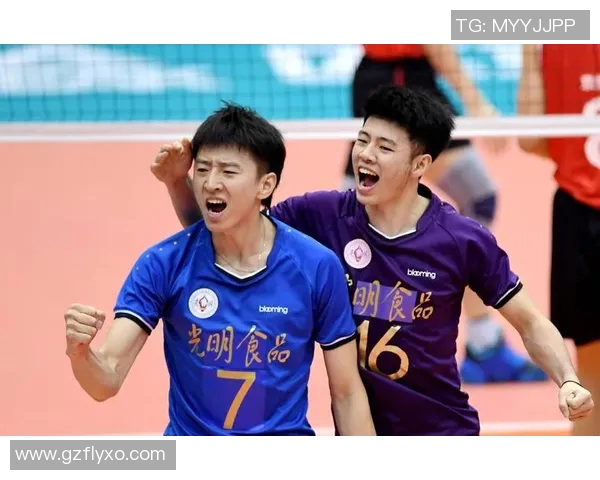 上海排球队与南京排球队耐力对决的精彩赛后分析与总结