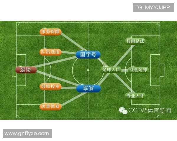 中国职业足球注册球员的现状与未来发展趋势分析与探讨