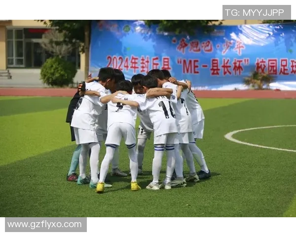 中国足球学校的种类与特色分析以及培养体系的探讨