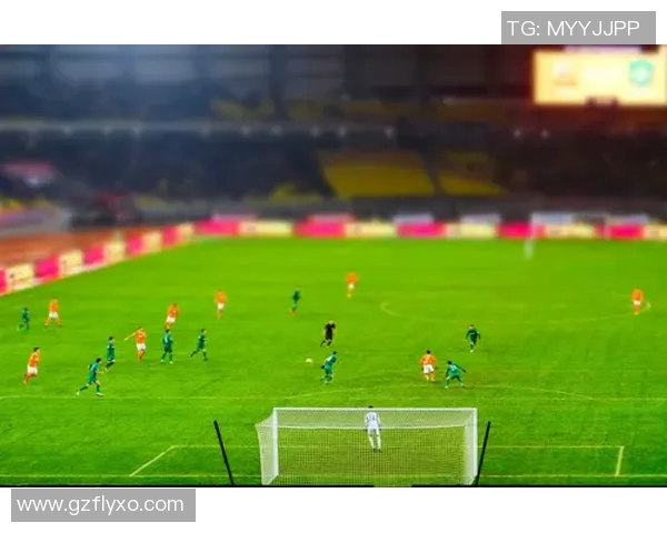 中超联赛专业足球场数量揭秘及其对赛事发展的影响分析